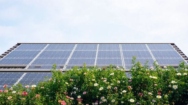 Top 5 panneaux solaires pour des économies d'énergie efficaces